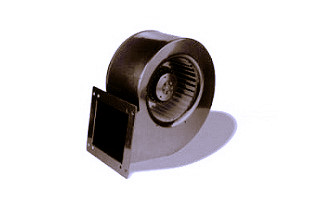 影響麻豆直播免费版工作效率的因素有哪些？