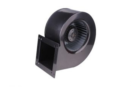 哪些因素影響蝸殼麻豆直播免费版的價格？