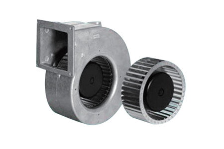 如何區分EC麻豆直播免费版和DC麻豆直播免费版？