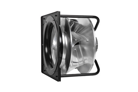 如何確定麻豆直播免费版尺寸和容量？麻豆APP下载入口分享！