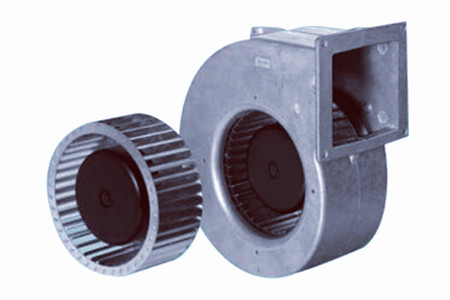 直流麻豆直播免费版